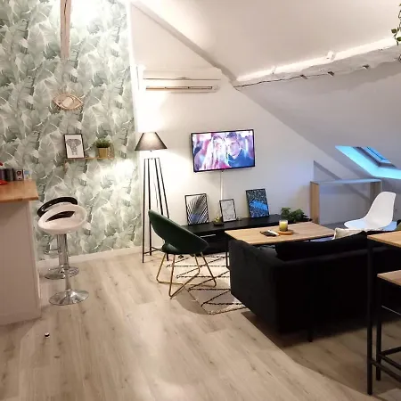 Magnifique En Hyper-centre ! Apartment *