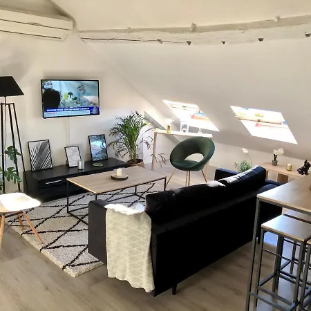 Magnifique En Hyper-centre ! Apartment *